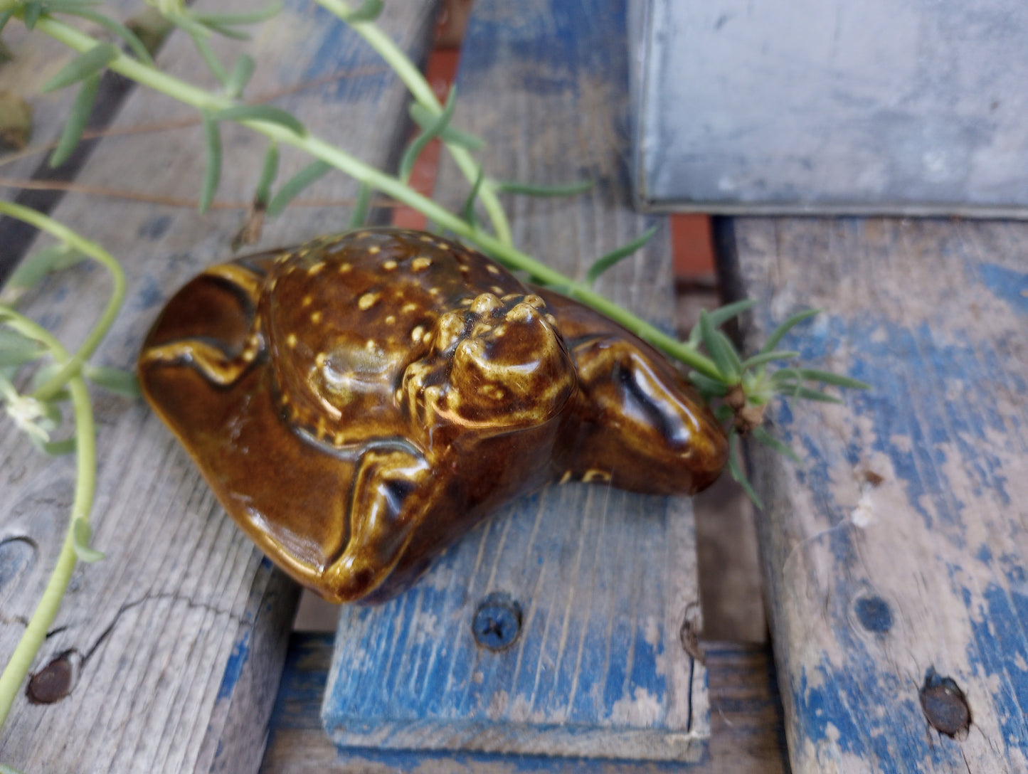 Cool vintage ceramic Horney Toad
