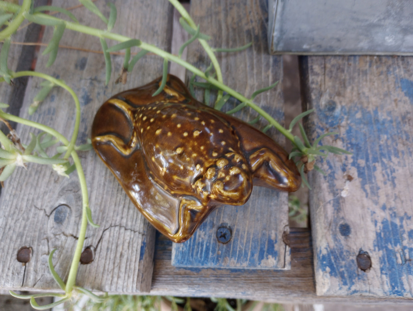 Cool vintage ceramic Horney Toad