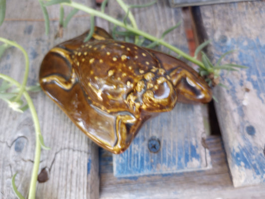 Cool vintage ceramic Horney Toad